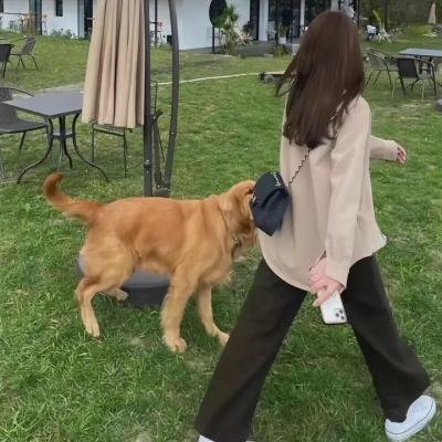 女人在家